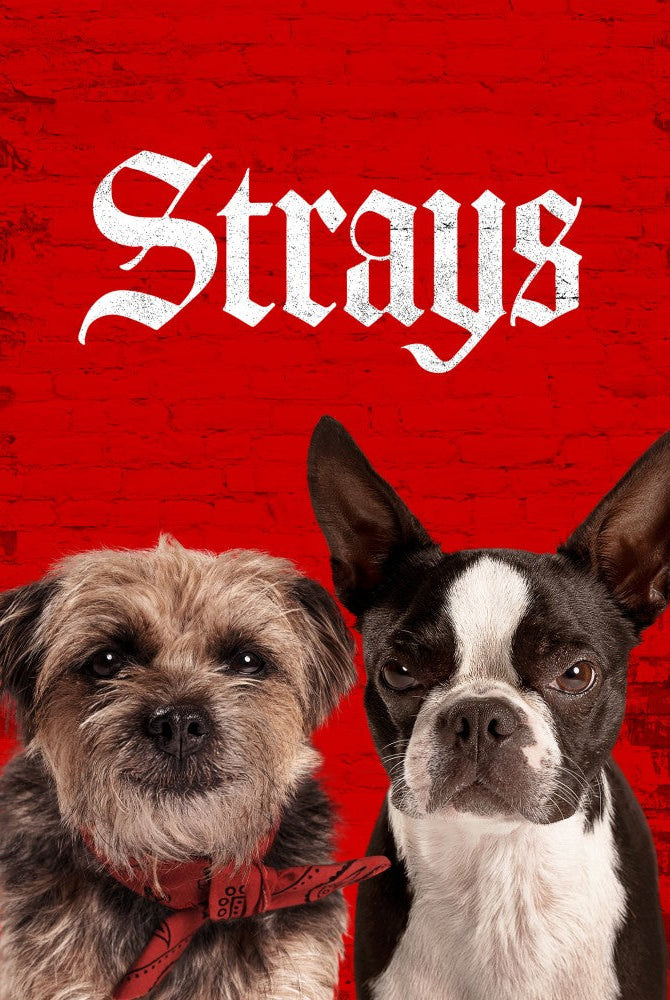 Strays (2023)