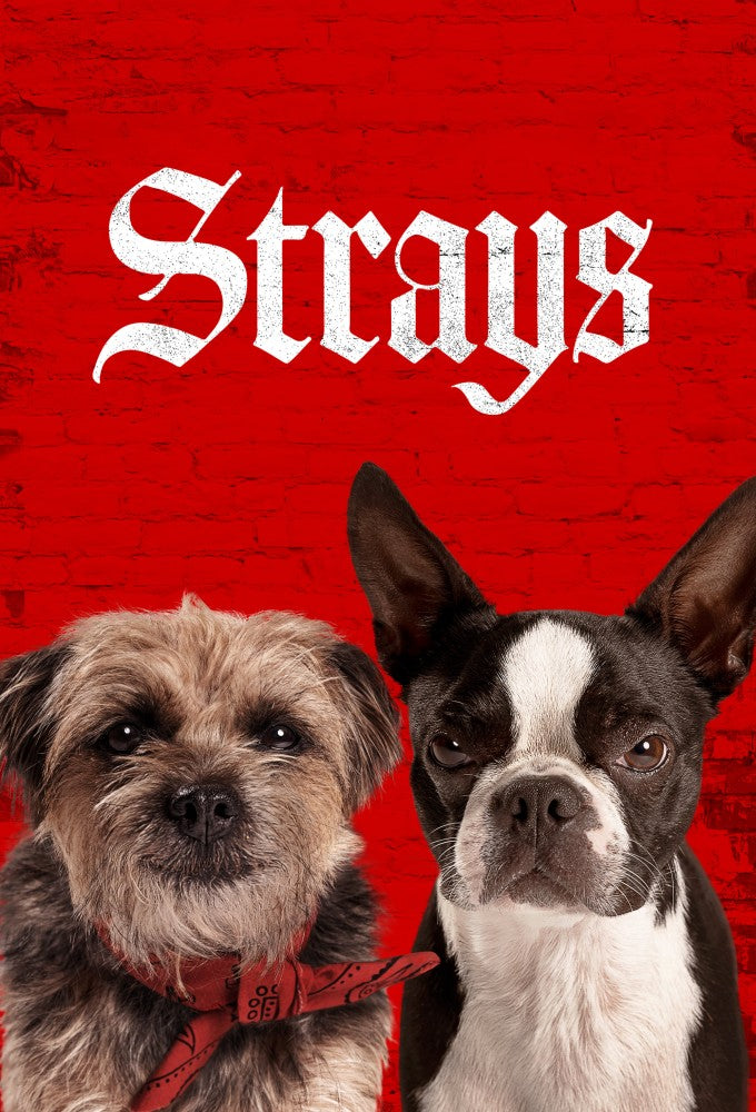 Strays (2023)