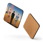 Floyds Back Coaster