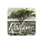 Boundless Resilience Coaster