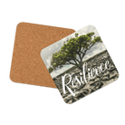 Boundless Resilience Coaster