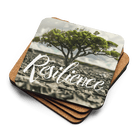 Boundless Resilience Coaster