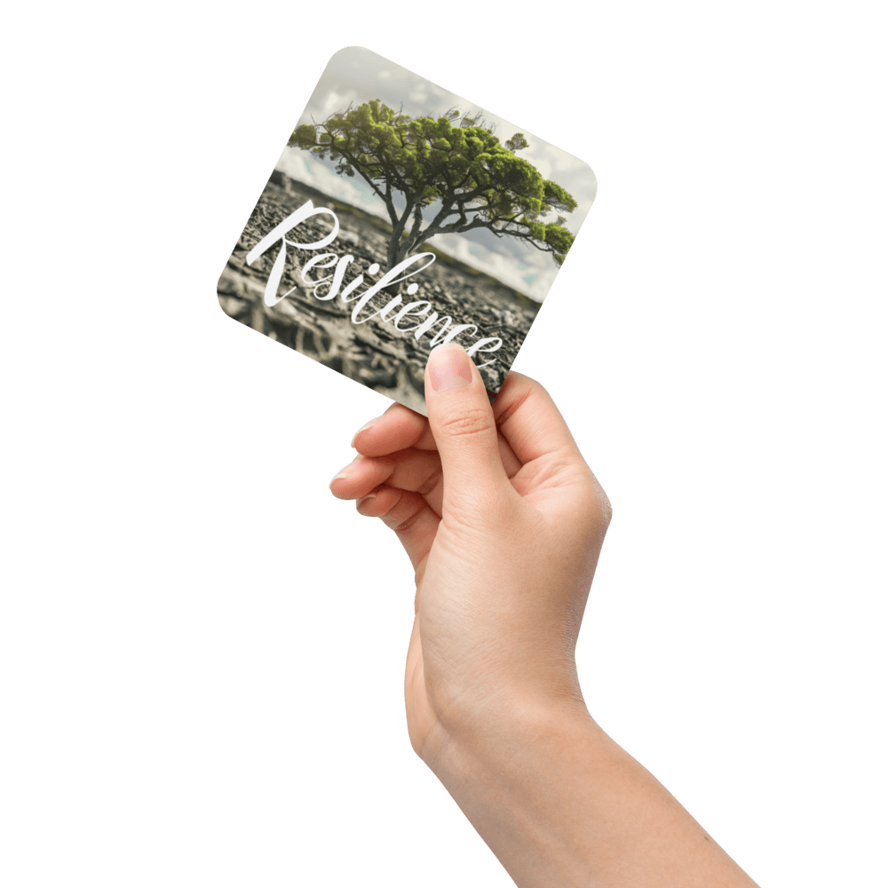 Boundless Resilience Coaster
