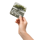 Boundless Resilience Coaster