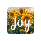 Boundless Joy Coaster