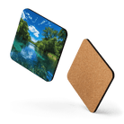 Azure Oasis Coaster